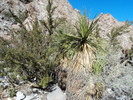 photo thumbnail #3