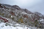 photo thumbnail #9