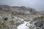 photo thumbnail #10