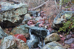 photo thumbnail #12