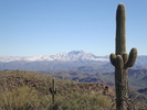 photo thumbnail #5