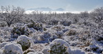 photo thumbnail #8