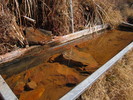 photo thumbnail #8