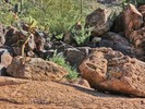 photo thumbnail #3