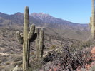 photo thumbnail #8