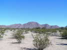 photo thumbnail #2