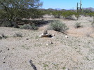 photo thumbnail #4