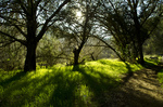 photo thumbnail #1