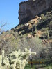 photo thumbnail #11