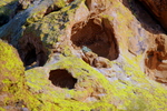 photo thumbnail #15