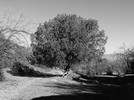 photo thumbnail #15