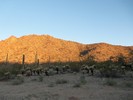 photo thumbnail #5
