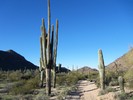 photo thumbnail #6