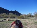 photo thumbnail #7