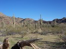 photo thumbnail #8