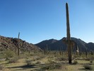 photo thumbnail #10