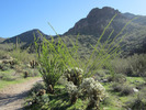 photo thumbnail #2