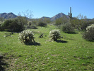photo thumbnail #4
