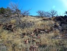photo thumbnail #5