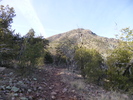 photo thumbnail #1