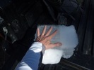 photo thumbnail #12