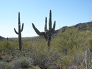 photo thumbnail #15