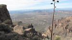 photo thumbnail #15
