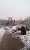 photo thumbnail #3