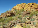 photo thumbnail #10