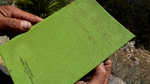 photo thumbnail #12