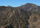 photo thumbnail #3