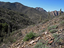 photo thumbnail #5