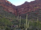 photo thumbnail #3
