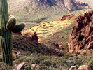 photo thumbnail #5