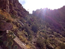 photo thumbnail #11