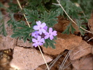 photo thumbnail #14