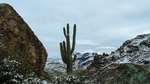 photo thumbnail #8