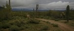 photo thumbnail #12