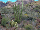 photo thumbnail #7