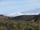 photo thumbnail #10
