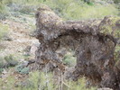 photo thumbnail #11