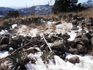 photo thumbnail #8