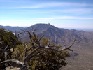 photo thumbnail #15