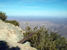photo thumbnail #9