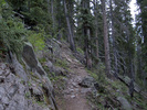 photo thumbnail #15