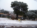 photo thumbnail #5