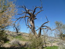 photo thumbnail #11