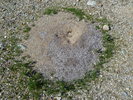 photo thumbnail #12