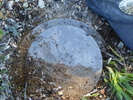 photo thumbnail #14