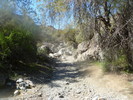 photo thumbnail #15